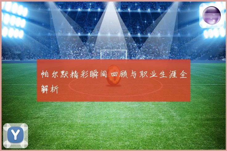 帕尔默精彩瞬间回顾与职业生涯全解析