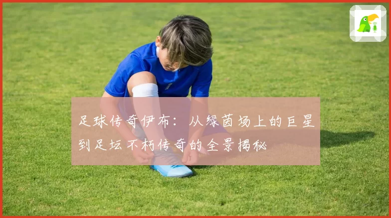 足球传奇伊布：从绿茵场上的巨星到足坛不朽传奇的全景揭秘